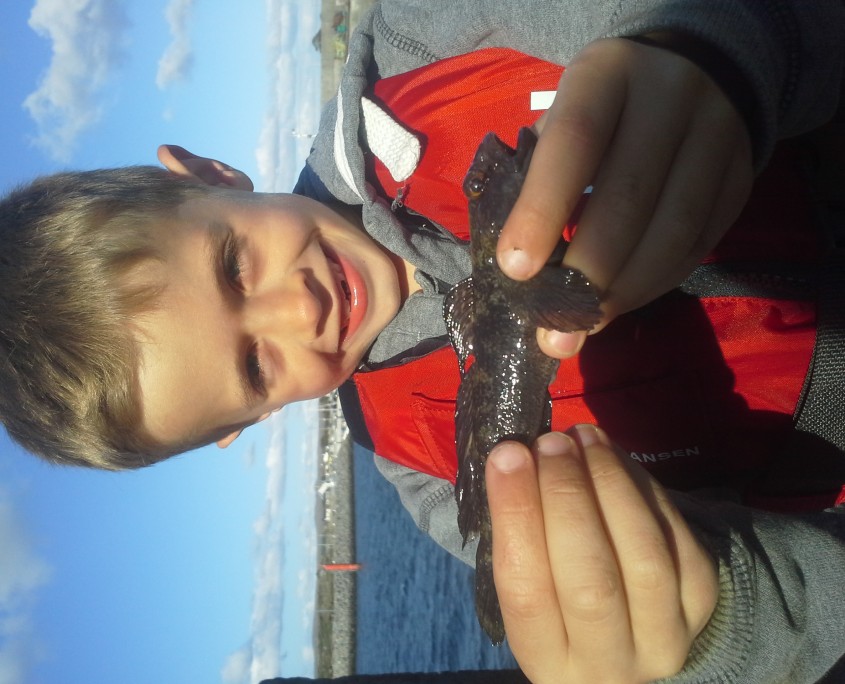 connla atkins- black goby june.