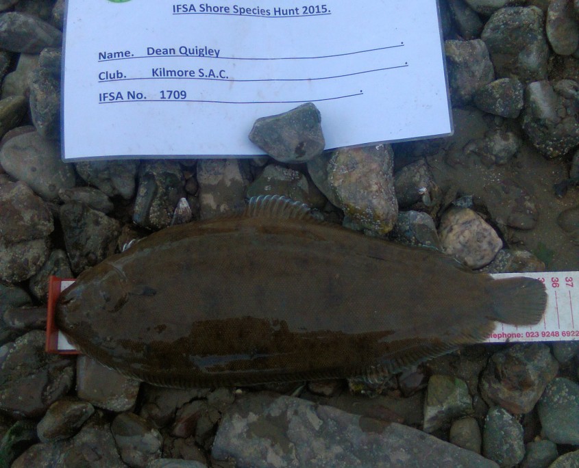dean quigley- black sole 35cm.