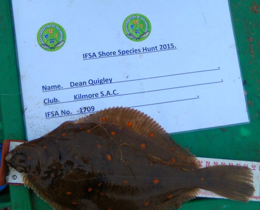 dean quigley- plaice 31cm.