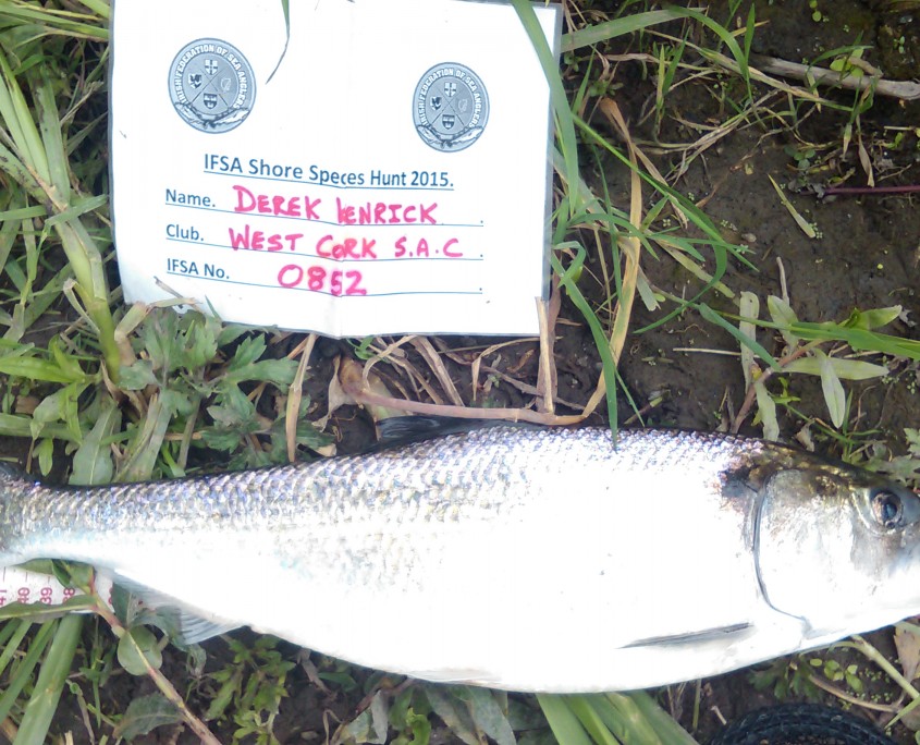 derck kenrick- twithe shad 49cm.
