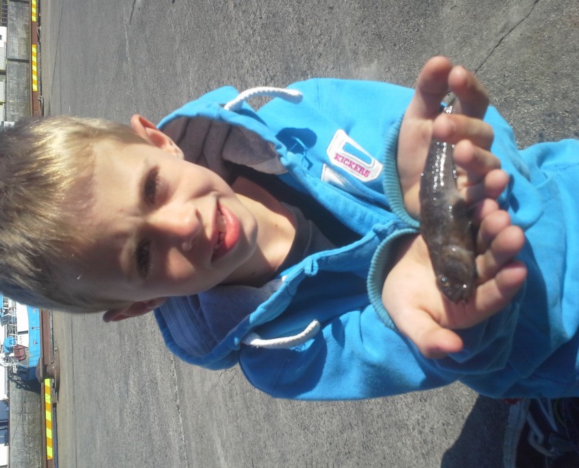 fionn atkins- black goby june.