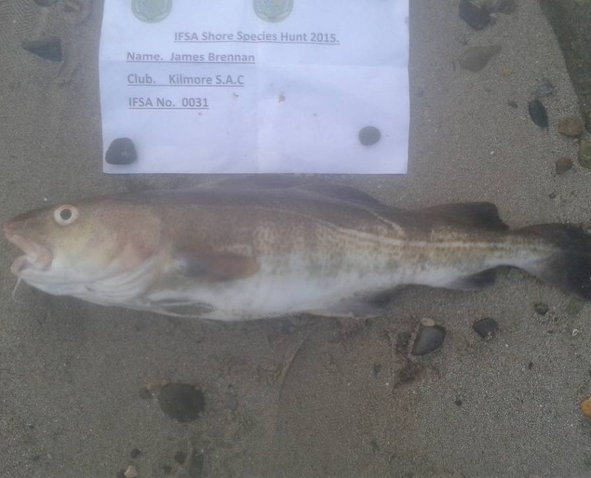 james brennan- cod 56cm.