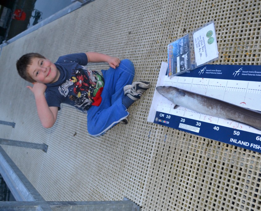 oisin foley- conger 104cm.
