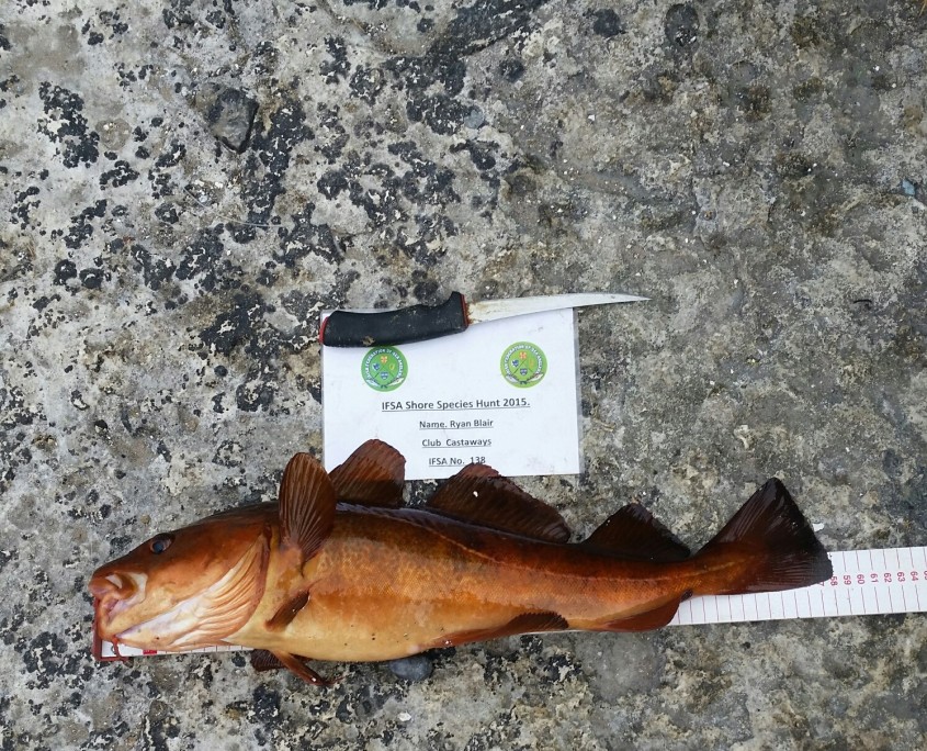 ryan blair- cod 58cm.