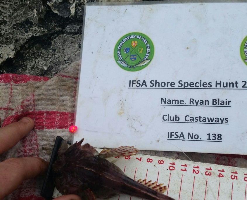 ryan blair- short spined sea scorpion 13cm.
